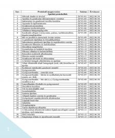 images/PROTOKOLOK/APOLASI PROTOKOLL/APOLASI PROTOKOLL_2019_vegleges_1225.jpg